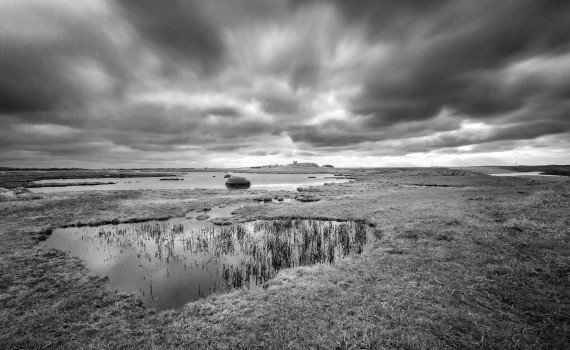 Kalø Ruins