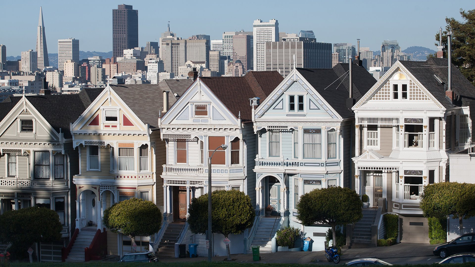 Painted Ladies, SF
