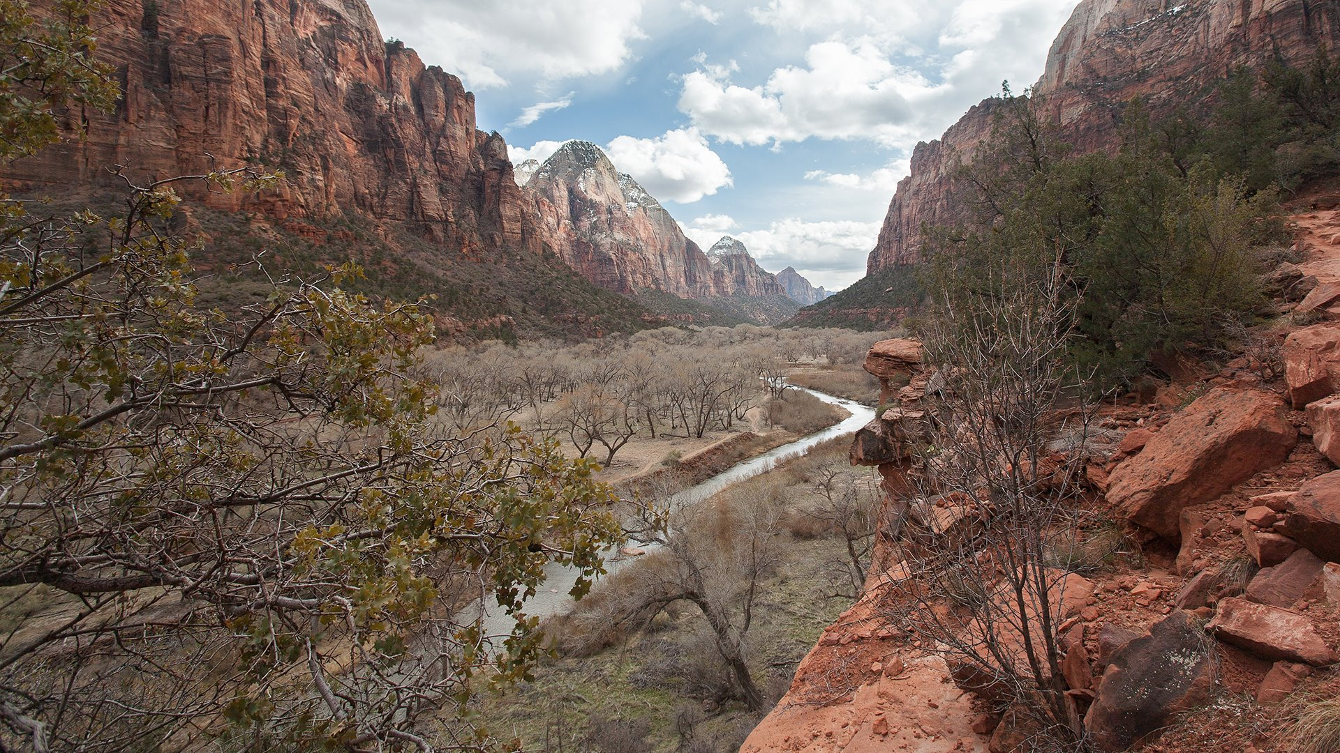 Zion NP