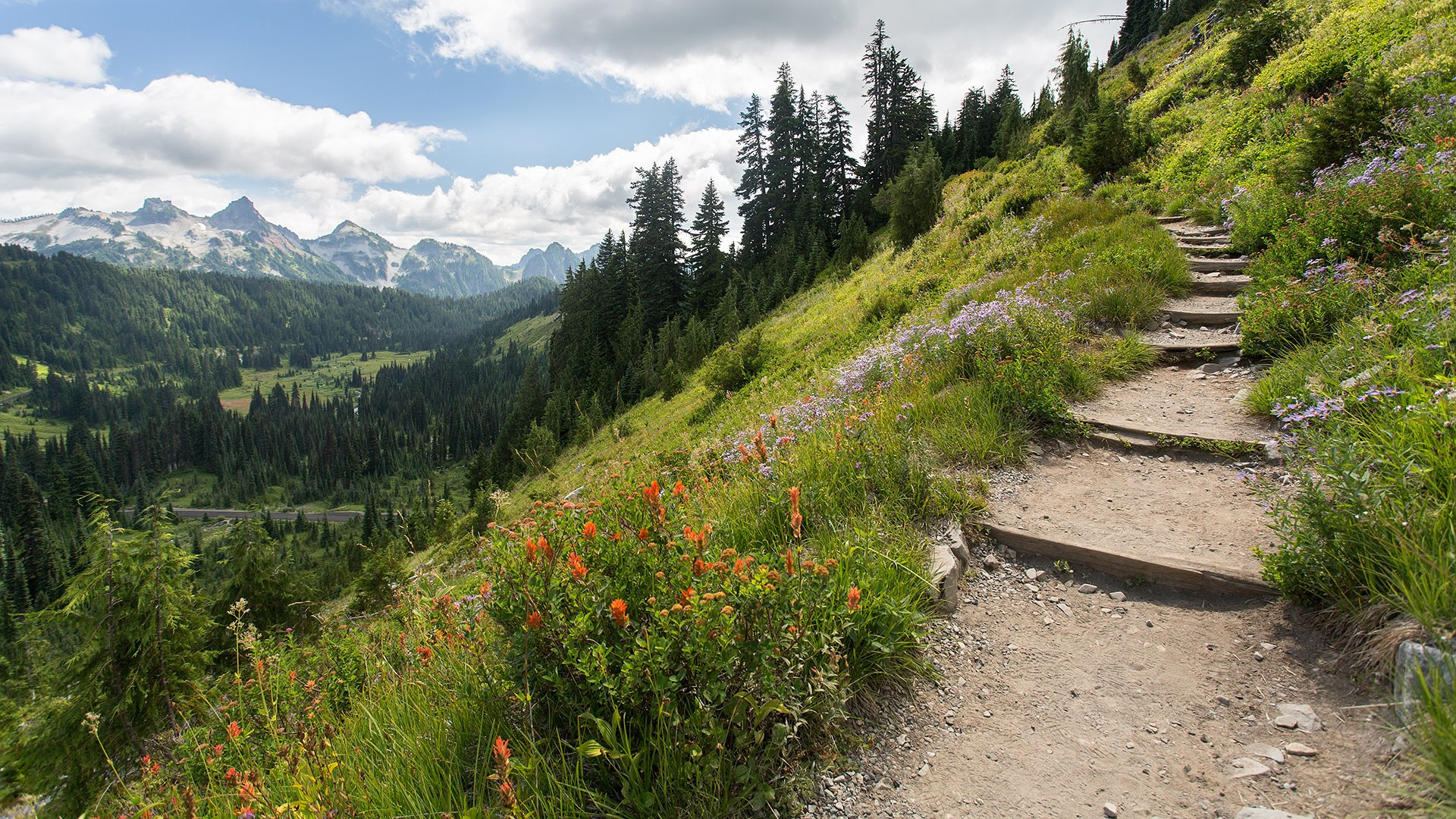 Summer Vibes in Glacier NP
