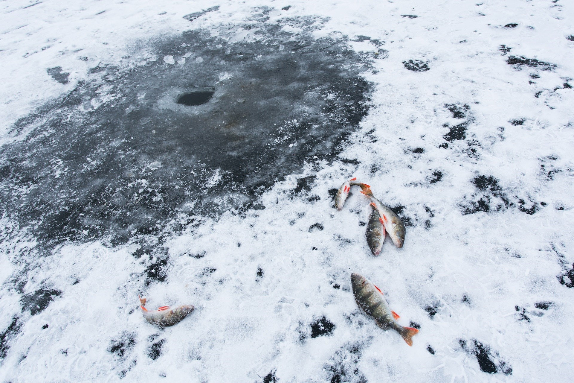 Ice Fishing