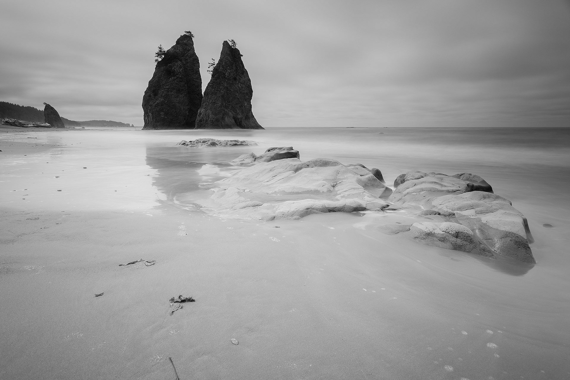 La Push Beach
