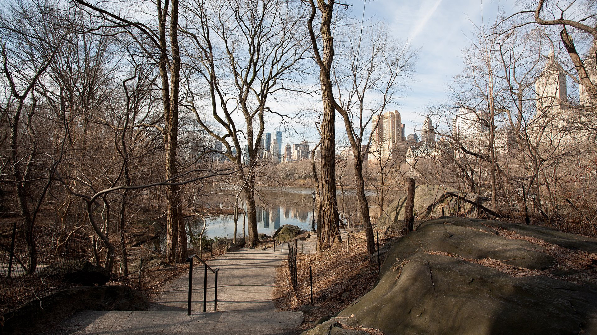 Winter morning in Central Park