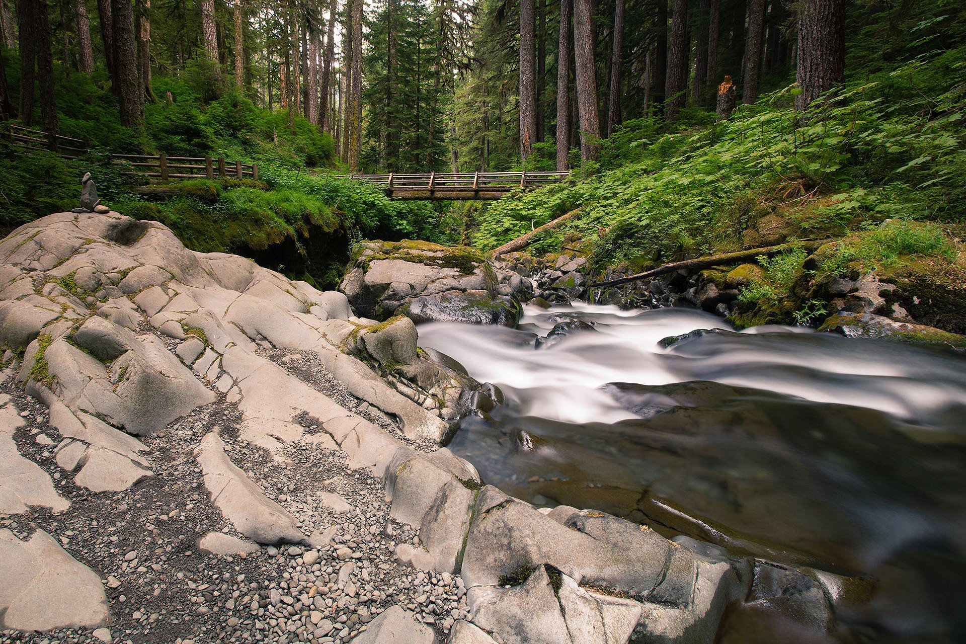 Olympic National Park