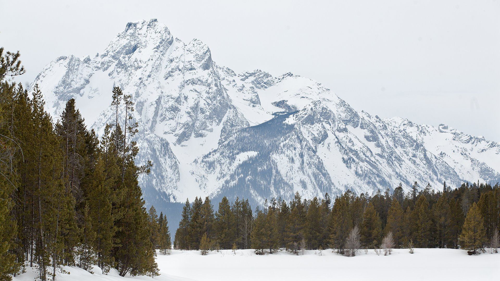 Grand Teton